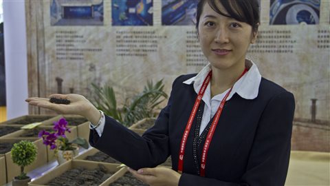 Les concombres de mer sont un des produits que les aquaculteurs de l'Atlantique tentent de vendre en Chine. Les concombres de mer sont un des produits que les aquaculteurs de l'Atlantique tentent de vendre en Chine.