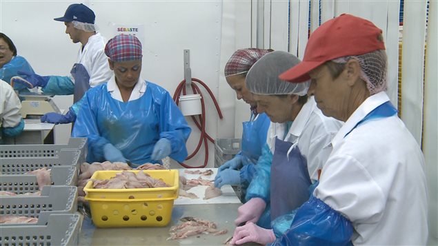Les Gaspésiennes gagnent moins que les autres femmes de la province Les Gaspésiennes gagnent moins que les autres femmes de la province