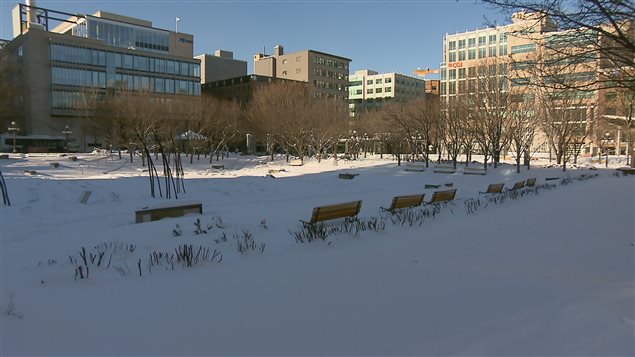 Le jardin de Saint-Roch, construit sur un ancien stationnement, a été inauguré en 1993. Le jardin de Saint-Roch, construit sur un ancien stationnement, a été inauguré en 1993.