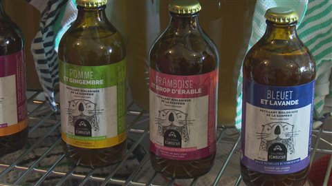 Le kombucha renferme des probiotiques. Le kombucha renferme des probiotiques.
