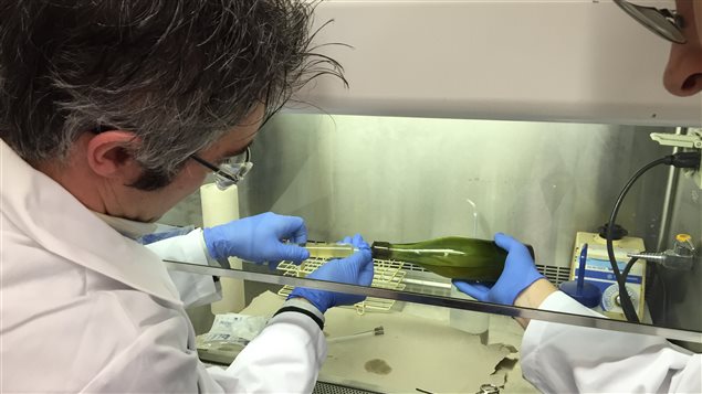 Les chercheurs de l'Université Dalhousie extraient de la bière de la bouteille à l'aide d'une seringue. Les chercheurs de l'Université Dalhousie extraient de la bière de la bouteille à l'aide d'une seringue.