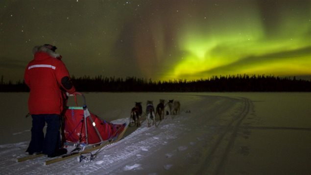 Un tour de traîneau avec les aurores, près de La Ronge Un tour de traîneau avec les aurores, près de La Ronge