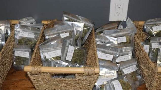 De la marijuana perquisitionnée au Club compassion de la Saskatchewan De la marijuana perquisitionnée au Club compassion de la Saskatchewan