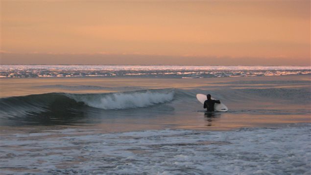 Un surfeur dans le fleuve Saint-Laurent à Sainte-Flavie le 5 janvier 2016. Un surfeur dans le fleuve Saint-Laurent à Sainte-Flavie le 5 janvier 2016.