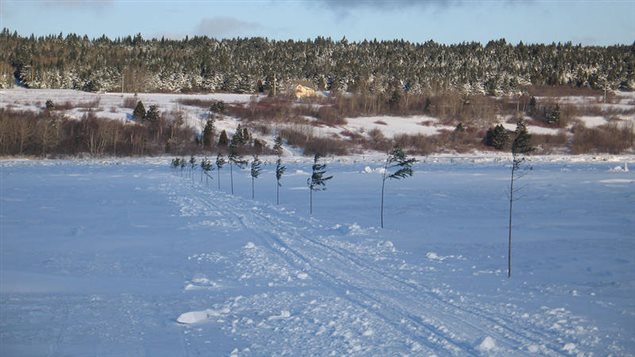 Le pont de glace qui relie les municipalités Notre-Dame-des-Sept-Douleurs (île Verte) et Cacouna. Le pont de glace qui relie les municipalités Notre-Dame-des-Sept-Douleurs (île Verte) et Cacouna.