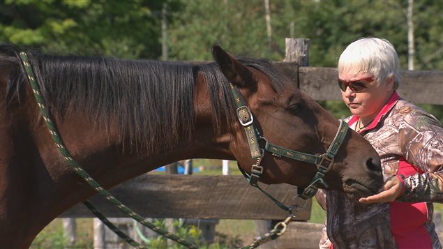 Gisèle Gariépy et un cheval de race standardbred Gisèle Gariépy et un cheval de race standardbred