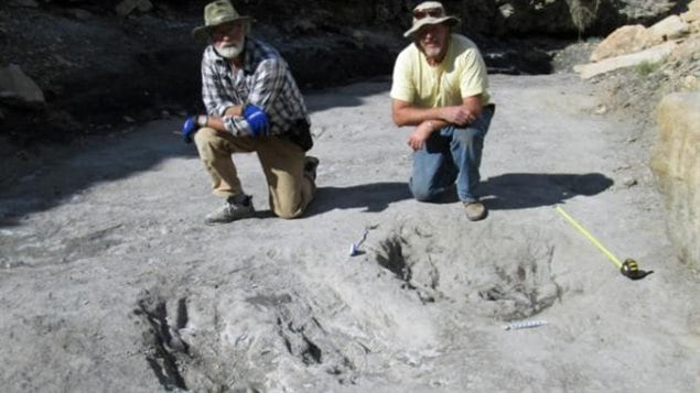 Les trous créés par les dinosaures Les trous créés par les dinosaures