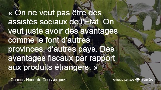 On ne veut pas être des assistés sociaux de l'État. On veut juste avoir des avantages comme le font d'autres provinces, d'autres pays. Des avantages fiscaux par rapport aux produits étrangers. On ne veut pas être des assistés sociaux de l'État. On veut juste avoir des avantages comme le font d'autres provinces, d'autres pays. Des avantages fiscaux par rapport aux produits étrangers.