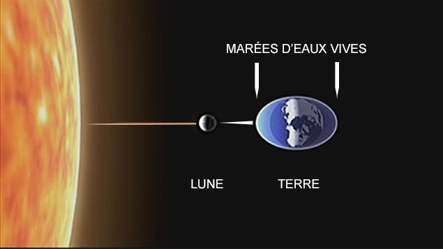 Lorsque les astres sont alignés, la marée haute est susceptible d'être plus élevée. Les marées de vives-eaux et les marées de mortes-eaux se succèdent selon le cycle de la Lune. Lorsque les astres sont alignés, la marée haute est susceptible d'être plus élevée. Les marées de vives-eaux et les marées de mortes-eaux se succèdent selon le cycle de la Lune.