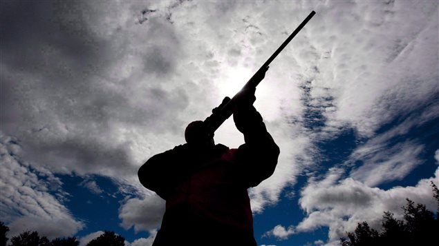 Un homme vérifie son fusil de chasse dans un camp de chasse ontarien. Un homme vérifie son fusil de chasse dans un camp de chasse ontarien.