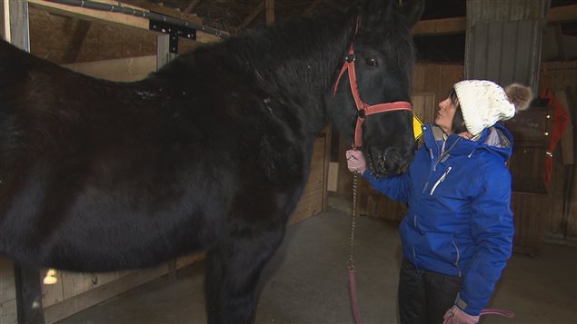 Josée Bouchard et son cheval Black Jack Josée Bouchard et son cheval Black Jack