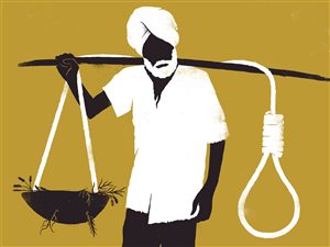 New York Times. Le sujet traite du taux effrayant de suicide chez les fermiers indiens. New York Times. Le sujet traite du taux effrayant de suicide chez les fermiers indiens.
