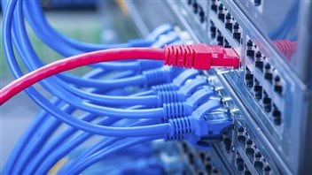 Les documents envoyés par l'entremise de la plateforme Source anonyme seront stockés dans un serveur sécurisé et consultables à partir d'un ordinateur qui n'a jamais été connecté à Internet. Les documents envoyés par l'entremise de la plateforme Source anonyme seront stockés dans un serveur sécurisé et consultables à partir d'un ordinateur qui n'a jamais été connecté à Internet.