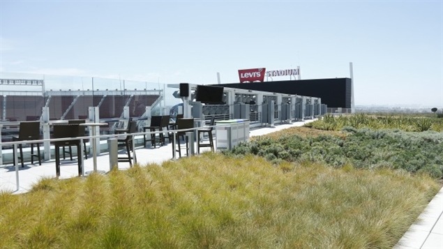 La terrasse gazonnée du domicile des 49ers. La terrasse gazonnée du domicile des 49ers.
