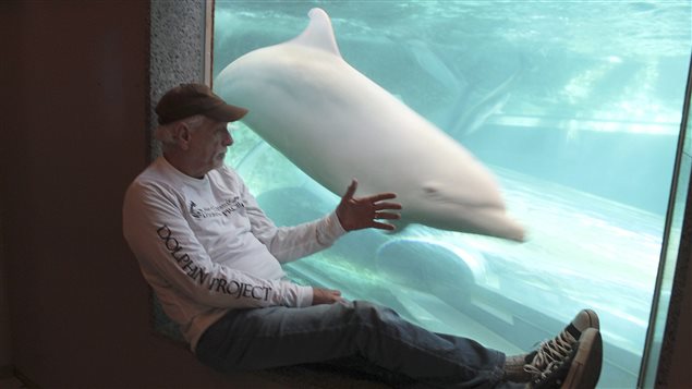 Rick O'Barry, vedette du documentaire The Cove, qui dénonce la chasse aux dauphins faite au Japon. Rick O'Barry, vedette du documentaire The Cove, qui dénonce la chasse aux dauphins faite au Japon.