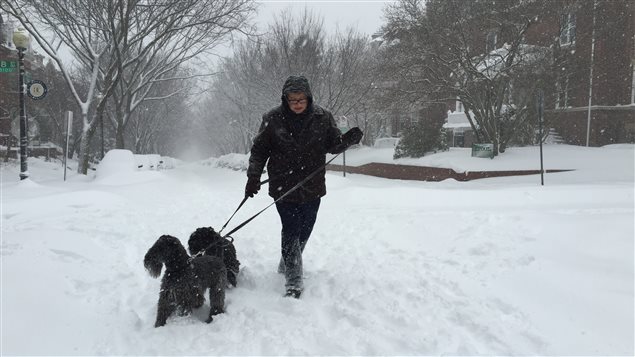 Un homme promène son chien en pleine tempête à Washington. Un homme promène son chien en pleine tempête à Washington.