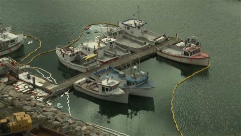 Estacades autour des bateaux de pêche. Estacades autour des bateaux de pêche.