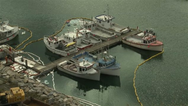 Estacades autours des bateaux de pêche.