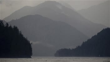 La forêt pluviale du Grand Ours en Colombie-Britannique est la plus grande forêt de ce type encore intacte au monde. La forêt pluviale du Grand Ours en Colombie-Britannique est la plus grande forêt de ce type encore intacte au monde.