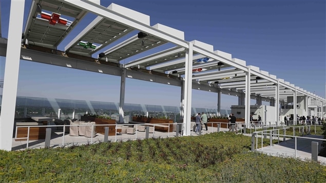 Les panneaux solaires et le toit gazonné du stade Levi's. Les panneaux solaires et le toit gazonné du stade Levi's.