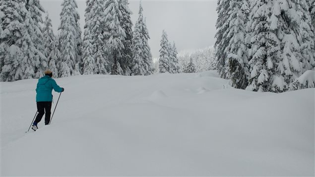 Du ski de fond pratiqué sur la montagne Cypress à West Vancouver Du ski de fond pratiqué sur la montagne Cypress à West Vancouver