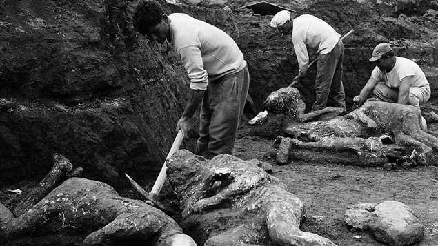 Archéologues déterrant des moulages de plâtre de victimes trouvées dans le jardin des Fugitifs Archéologues déterrant des moulages de plâtre de victimes trouvées dans le jardin des Fugitifs