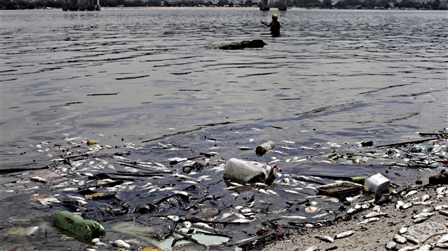 Des poissons morts et des déchets dans la baie de Guanabara, le 13 janvier 2016 Des poissons morts et des déchets dans la baie de Guanabara, le 13 janvier 2016