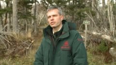 Tom Knight dit que le projet pilote sera révisé cet hiver. Tom Knight dit que le projet pilote sera révisé cet hiver.