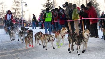 Un meneur de chiens au départ de la Yukon Quest à Fairbanks en Alaska Un meneur de chiens au départ de la Yukon Quest à Fairbanks en Alaska