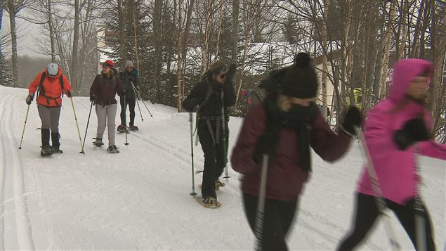 Des raquetteurs dans un sentier au Mont-Comi. Des raquetteurs dans un sentier au Mont-Comi.