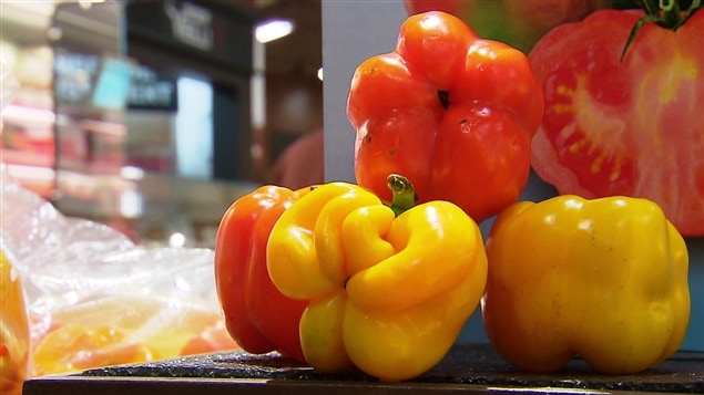 Des poivrons un peu difformes mais tout aussi bons! Des poivrons un peu difformes mais tout aussi bons!