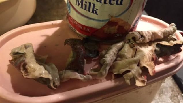 Les résidus découverts au fon de la boîte de lait Les résidus découverts au fon de la boîte de lait