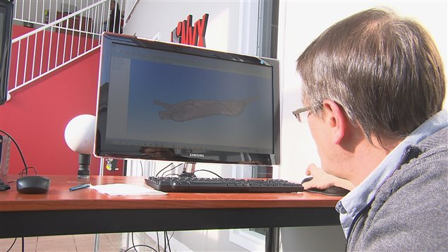 Les inventeurs peuvent visualiser toutes les composantes de la carcasse sur un ordinateur après la numérisation Les inventeurs peuvent visualiser toutes les composantes de la carcasse sur un ordinateur après la numérisation
