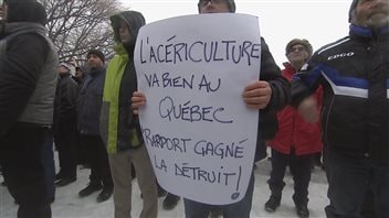 De nombreux acériculteurs sont en désaccord avec les recommandations du rapport Gagné. De nombreux acériculteurs sont en désaccord avec les recommandations du rapport Gagné.