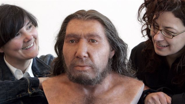 Reconstitution d'un homme de Néandertal Reconstitution d'un homme de Néandertal