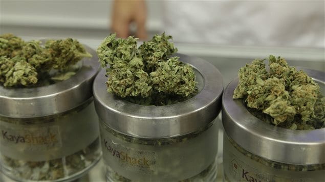 De la marijuana thérapeutique en vente dans un magasin de l'Oregon De la marijuana thérapeutique en vente dans un magasin de l'Oregon