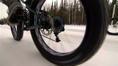 Un pneu surdimensionné à crampons peut coûter jusqu'à 300 dollars. Un pneu surdimensionné à crampons peut coûter jusqu'à 300 dollars.