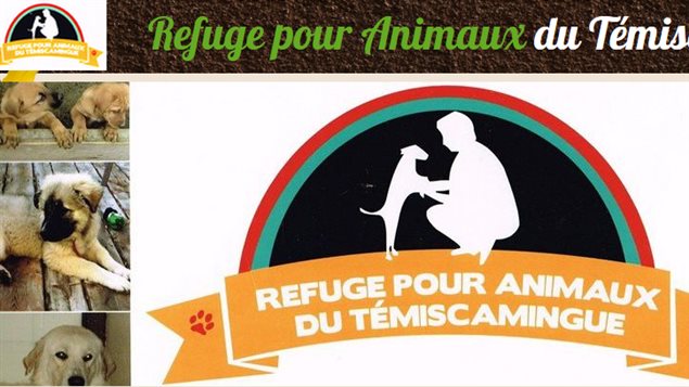 Capture d'écran du site Internet Refuge pour animaux du Témiscamingue Capture d'écran du site Internet Refuge pour animaux du Témiscamingue