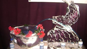 Un poisson en glace Un poisson en glace