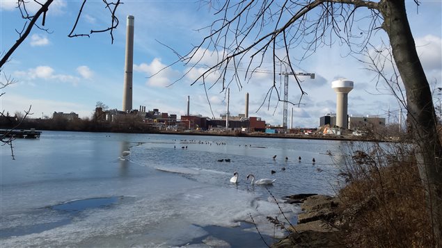Il a fait 12,5°C samedi à Toronto. Il a fait 12,5°C samedi à Toronto.