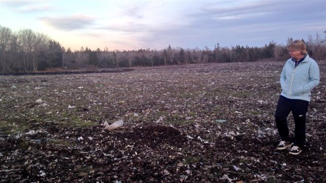 Des déchets près du lac George à Yarmouth en Nouvelle-Écosse Des déchets près du lac George à Yarmouth en Nouvelle-Écosse