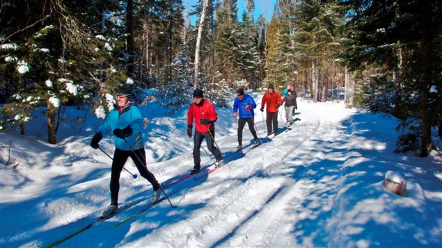 Des fondeurs glissent sur la neige de Saint-Donat. Des fondeurs glissent sur la neige de Saint-Donat.