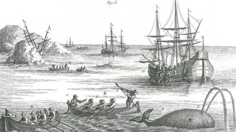 Les harponneurs approchaient très près de la baleine Les harponneurs approchaient très près de la baleine