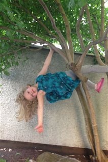La petite soeur de Lola, Zoé, dans le fameux arbre La petite soeur de Lola, Zoé, dans le fameux arbre