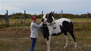 Selene Selinger avec un des chevaux du futur sanctuaire Quartz Ridge, à Hagar Selene Selinger avec un des chevaux du futur sanctuaire Quartz Ridge, à Hagar