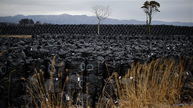 Sacs contenant de la terre et des débris radioactifs jetés dans un dépotoir « temporaire » à Fukushima, le 22 février 2015. Sacs contenant de la terre et des débris radioactifs jetés dans un dépotoir « temporaire » à Fukushima, le 22 février 2015.