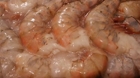 Crevettes Crevettes