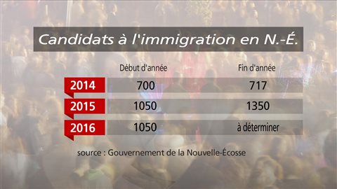 Candidats à l'immigration en N.-É. Candidats à l'immigration en N.-É.