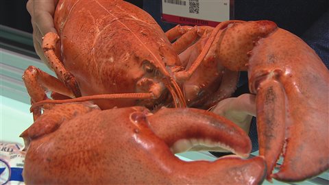 Homard gaspésien au Seafood Expo 2016 à Boston