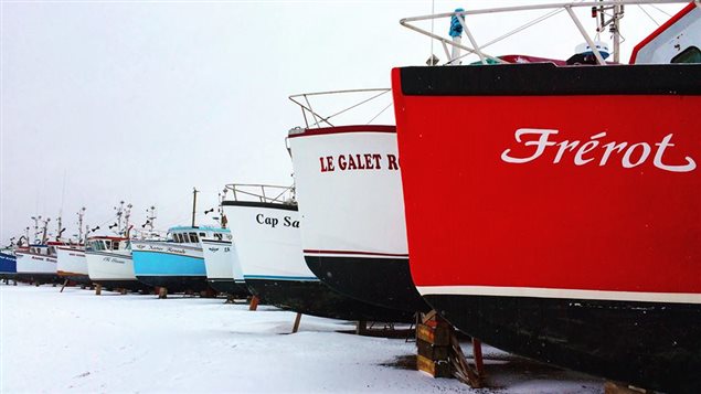Les bateaux des pêcheurs en cale sèche sur l'Île de Cap aux Meules Les bateaux des pêcheurs en cale sèche sur l'Île de Cap aux Meules